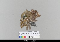 藏品(中國湖北皮影戲偶頭-雜)的圖片